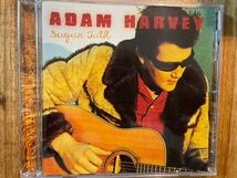 CD ADAM HARVEY / SUGAR TALK_画像1