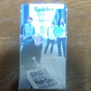 Spider/HAIR CUTS、 大橋智和、 田中亮輔