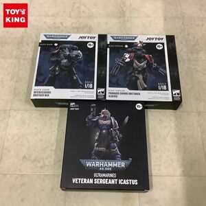 1円〜 JOYTOY ウォーハンマー40000 1/18 RAVEN GUARD INTERCESSORS BROTHER NAX、ULTRAMARINES VETERAN SERGEANT ICASTUS 等