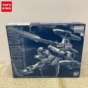 1円〜 MG 1/100 機動戦士ガンダムSEED ライトニングストライクガンダム Ver.RM