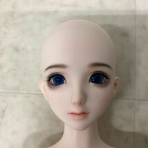 1円〜 RING DOLL 女の子 Alice-01_画像3