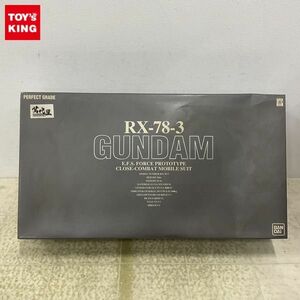 1円〜 PG 1/60 機動戦士ガンダムMSV G-3ガンダム メッキバージョン