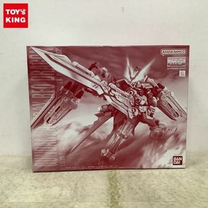 1円〜 MG 1/100 機動戦士ガンダムSEED DESTINY ASTRAY R ガンダムアストレイ レッドドラゴン