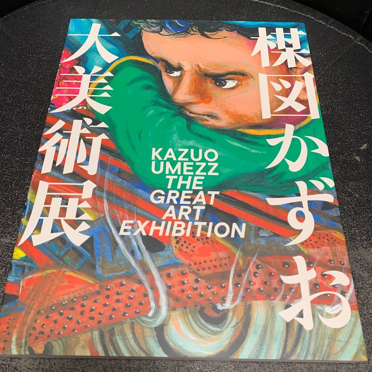 Kazuo Umezu Kazuo Umezu Große Kunstausstellung Kunstausstellung Katalog Offizieller Katalog Buch Horror Manga Horror, Malerei, Kunstbuch, Sammlung, Katalog