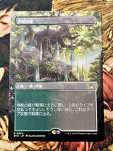 MTG 寺院の庭 Temple Garden 1_画像1