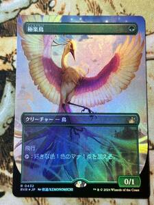 MTG 極楽鳥 Birds of Paradise foil RVR