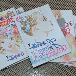 天使のつらのかわ 全巻 一条ゆかり 集英社 ヤングユーコミックス コーラスシリーズ