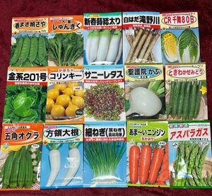 野菜の種　コリンキー　アスパラガス入り