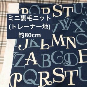 ニット生地　アパレル　はぎれ　ロゴ　生地　ジェーンマープル