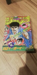 週刊少年ジャンプ 1995年6月5日号 ドラゴンボール 鳥山明 最終回　※汚れ、折れ有り