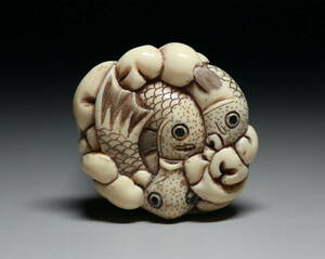 [ heart ]k038 mammoth netsuke common carp. ...