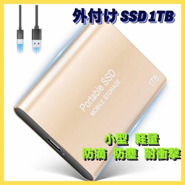 外付け SSD 1TB ポータブル USB3.2 Gen1