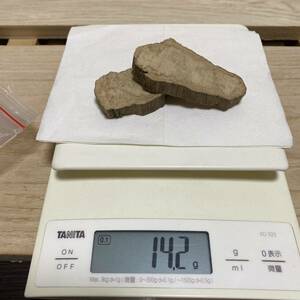 ボルネオ沈香木の輪切 14.2g