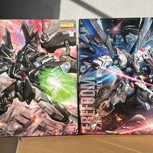 MG ZGMF-X10A フリーダムガンダム Ver.2.0 MG GAT-X105E ストライクノワールガンダム 2体セット
