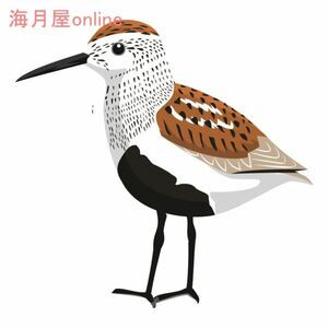 鳥のステッカー　デフォルメtype2　 デフォルメ野鳥 type2 ハマシギ