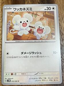 ポケモンカード ワッカネズミ