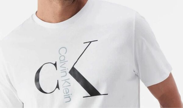 新品　Calvin Klein カルバン クライン メンズ　ビッグロゴ　Tシャツ