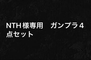 nth様専用ガンプラセット⑥