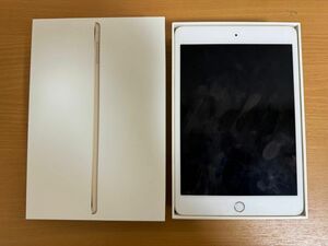 iPad Mini 4 Wi-Fi 16GB ゴールド MK6L2J/A A1538 動作確認済