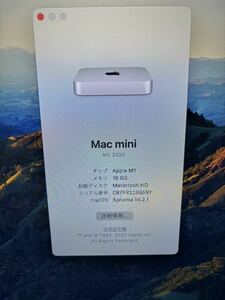 Mac mini M1 16GB/256GB 指紋認証Magic Keyboard とMouseのセットで