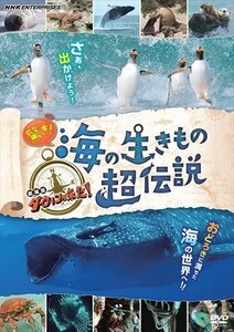 驚き!海の生きもの超伝説 劇場版ダーウィンが来た! さかなクン, 龍田直樹 【DVD】 NSDS25481-NHK