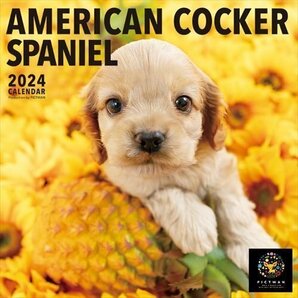 アメリカン・コッカー・スパニエル PICTWAN (ピクトワン) カレンダー DOG 【L版】 2024年カレンダー24CL-50001Lの画像1