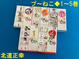 プ～ねこ★１・２・３・４・５巻★北道正幸★アフタヌーンコミックス★絶版　プーねこ猫