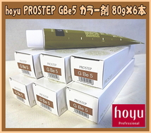 Uとや3193 新品 hoyu/ホーユー プロステップ GBe5 グレイベージュ 業務用 おしゃれ染 80g×6 プロ専用 ヘアカラー剤 理美容用品_画像1