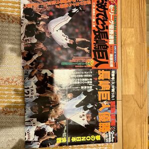 長嶋巨人　優勝　サンケイスポーツ特別版　日刊スポーツグラフ　2冊セット