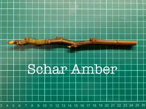 いちじく Schar Amber 挿し穂 1本（穂木・挿木）@805