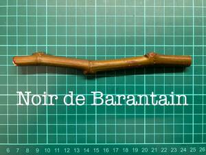 いちじく Noir de Barbantain 挿し穂 1本（穂木・挿木）@979