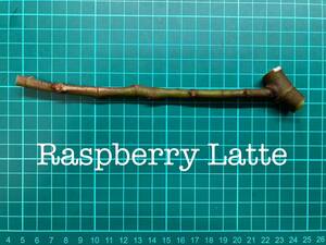 いちじく Raspberry Latte 挿し穂 1本（穂木・挿木）@997