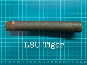 いちじく LSU Tiger 挿し穂 1本（穂木・挿木）@1337