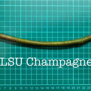 いちじく LSU Champagne 挿し穂 1本（穂木・挿木）@1397の画像1