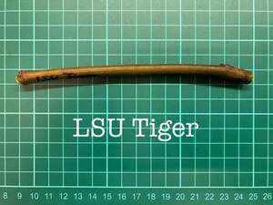 いちじく LSU Tiger 挿し穂 1本（穂木・挿木）@1400