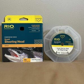 ★RIO Scandi Body INT #9 455grとS3 129gr 15ft Replacement Sink Tips 実釣未使用品★の画像2