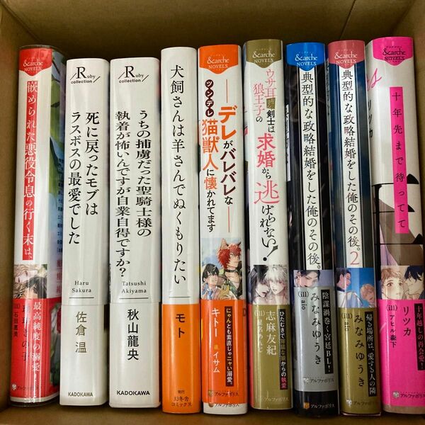 bl小説　纏め売り　9冊セット【一部特典付き】