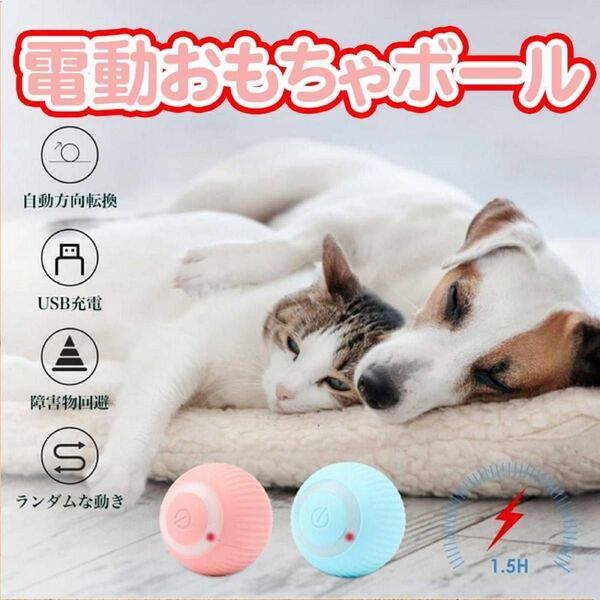 フードボウル　固定式　おもちゃ 光るボール 猫　犬　自動回転 USB充電式　　２点セット