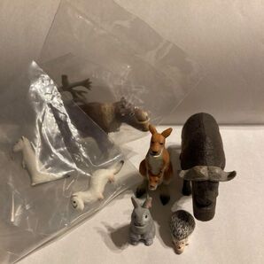 シャクレルプラネット