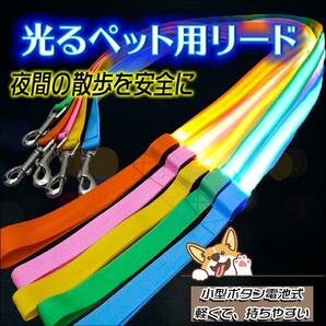 犬 リード 犬用リード 光るリード 夜間散歩 ライト LED 電池式 首輪用フック付き 光で知らせる 夜間 安全　オレンジ