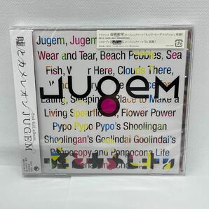 JUGEM 通常盤 CD 嘘とカメレオン