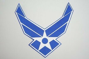 ★ U.S. AIR FORCE エアフォース アメリカ空軍 ロゴ ワッペン / パッチ ベルクロなし