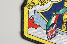 ★ アメリカ海軍 CVW-14 第14空母航空団 イラク戦争 ワッペン / パッチ ベルクロなし_画像3