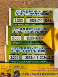 3月末まで！！9000円分！コーポレートプログラム利用券 東京ディズニーリゾート