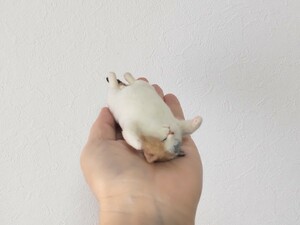 ＊obu＊ハンドメイド＊ 羊毛フェルト　猫 和猫 ごろ寝 三毛猫 へそ天 ねこ 手のひらサイズ