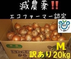 訳あり北海道産 玉ねぎ 20kg Mサイズ(北もみじ2000) 