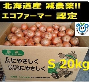 【エコファーマー農家直送】北海道産 Sサイズ 20kg 　北もみじ2000