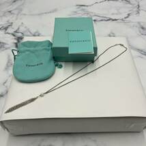 ＆【売り切り】TIFFANY＆Co.ティファニー メッシュ タッセル ネックレス ペンダント Ag925 真珠 レディース　ブランドアクセサリー_画像1