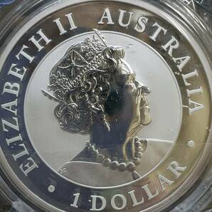 【DHS2786HM】2021年 オーストラリア クッカバラ 1oz銀貨 １オンス 海外銀貨 クリアケース有 シルバー コイン の画像2