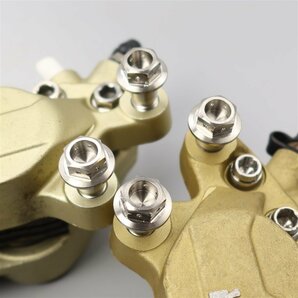 ♪DUCATI/900SS 純正 ブレンボ 4POT フロントブレーキキャリパー 40mm チタンボルト付き (D0313A06) 400SS取り外しの画像8